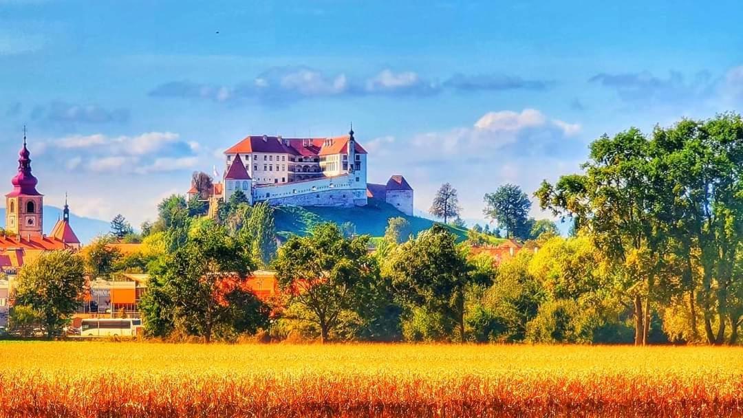 Apartment Luna Ptuj Dış mekan fotoğraf