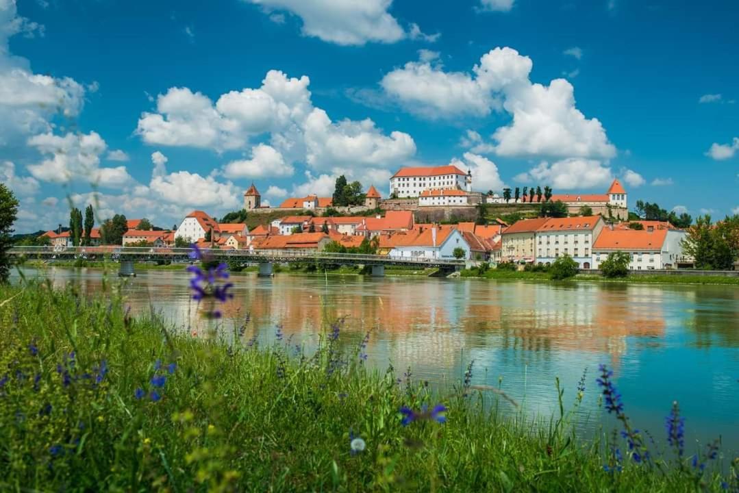 Apartment Luna Ptuj Dış mekan fotoğraf